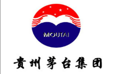 貴州茅臺(tái)集團(tuán)燃?xì)鉄崴仩t價(jià)格案例